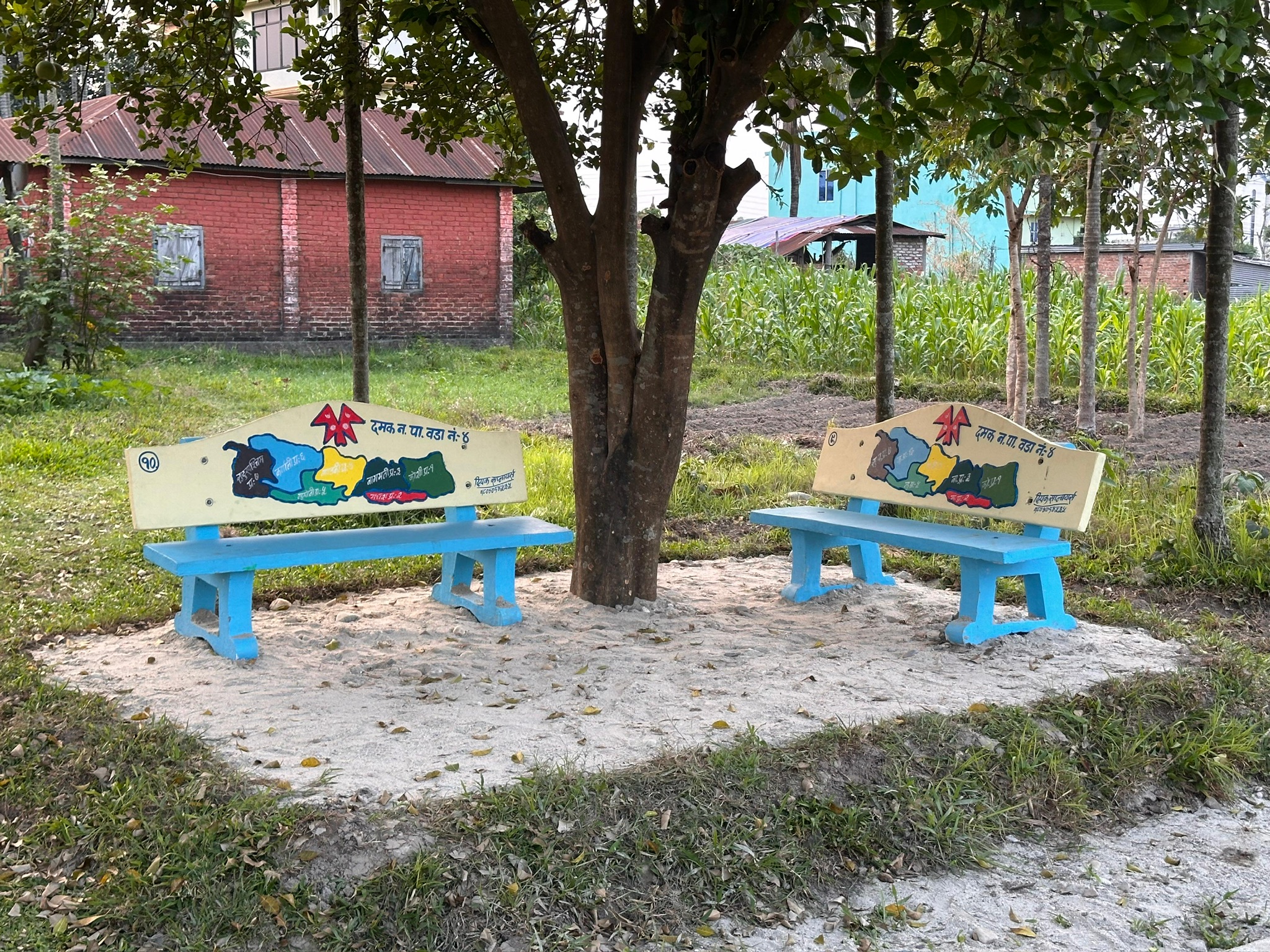 Cement Bench in Park